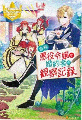 哥布林动漫全集 哥布林之刃 剑与魔法